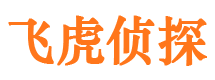 高阳市侦探公司